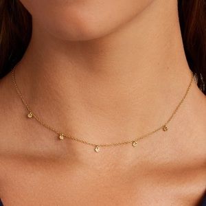 Gorjana 5 disc choker